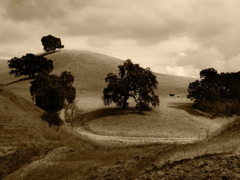 sudoku number puzzle screenshot 6